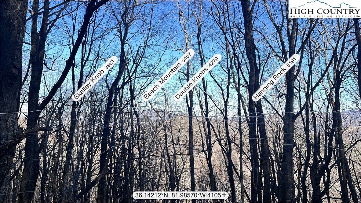 Lot 38 May Apple Trail Property Photo 2