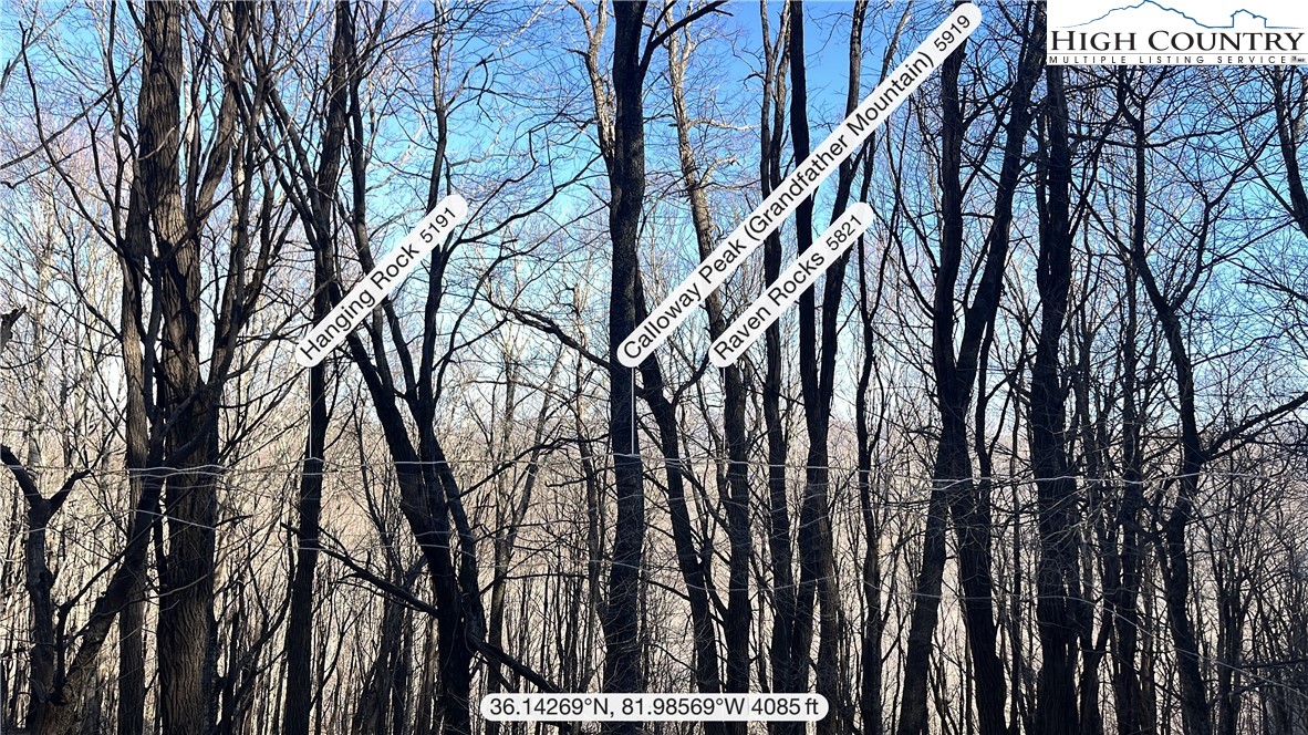 Lot 38 May Apple Trail Property Photo 3