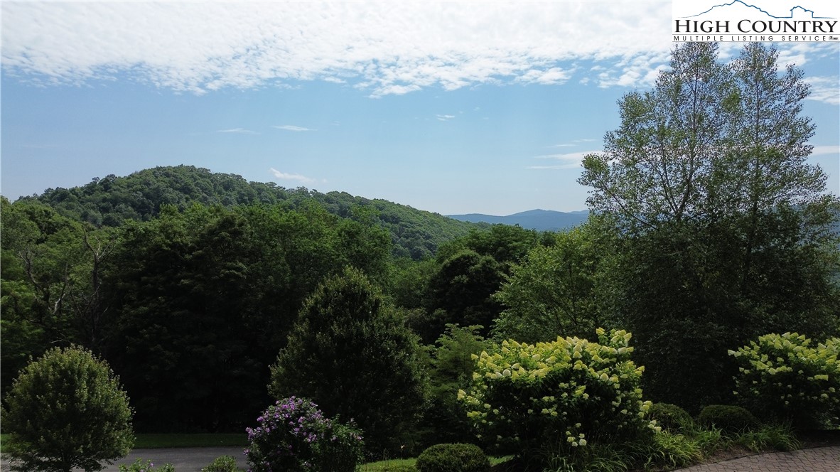 Lot 38 May Apple Trail Property Photo 5