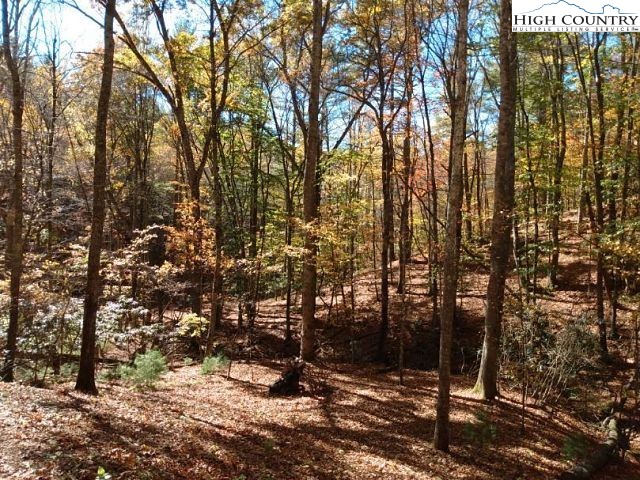 Lot 3 Hidden Forest Trail Property Photo 6