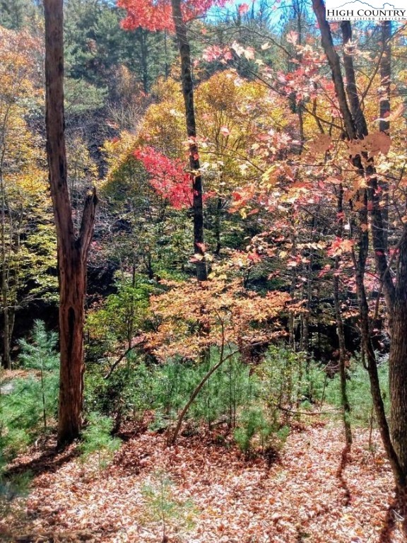 Lot 3 Hidden Forest Trail Property Photo 7