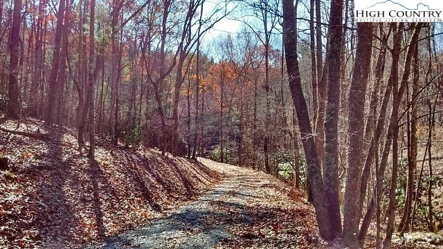 Lot 3 Hidden Forest Trail Property Photo 8