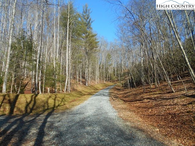 Lot 3 Hidden Forest Trail Property Photo 9