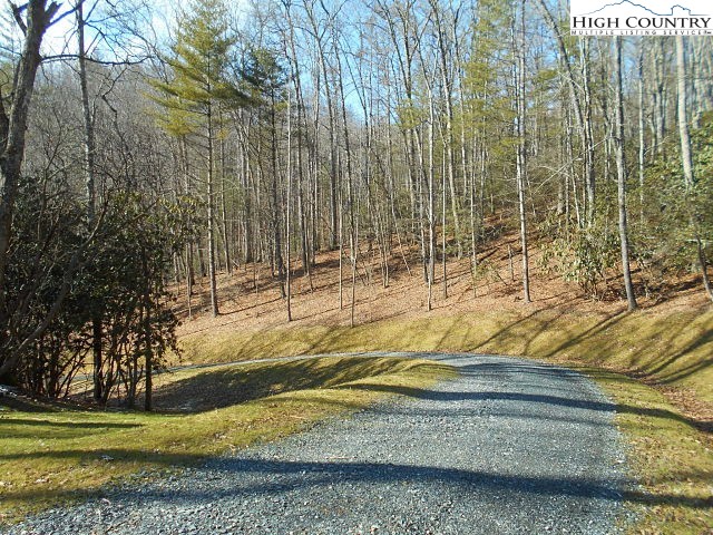 Lot 3 Hidden Forest Trail Property Photo 10