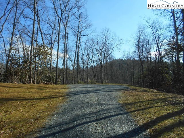 Lot 3 Hidden Forest Trail Property Photo 11