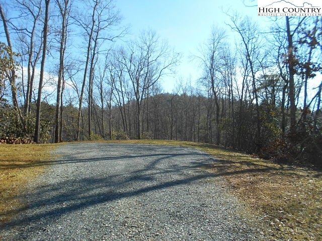 Lot 3 Hidden Forest Trail Property Photo 12