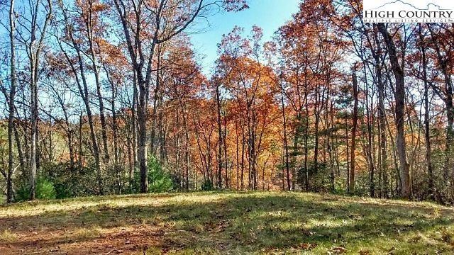 Lot 3 Hidden Forest Trail Property Photo 13