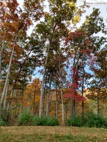 Lot 3 Hidden Forest Trail Property Photo 14