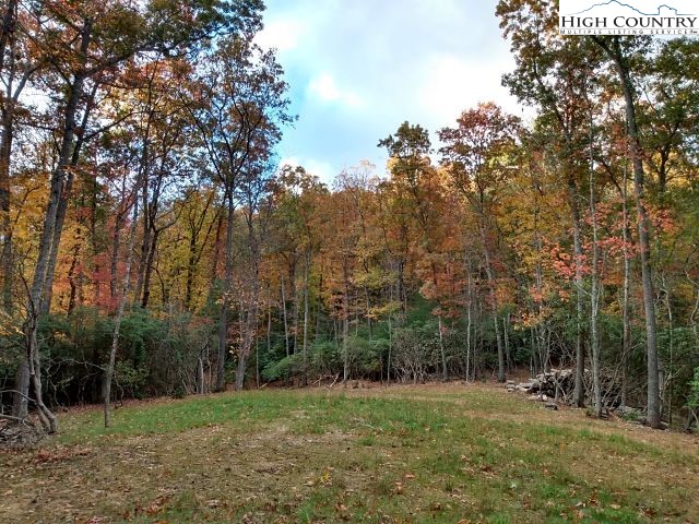 Lot 3 Hidden Forest Trail Property Photo 15
