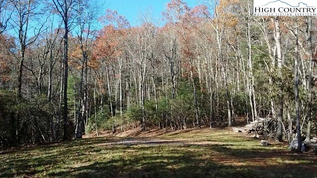 Lot 3 Hidden Forest Trail Property Photo 16