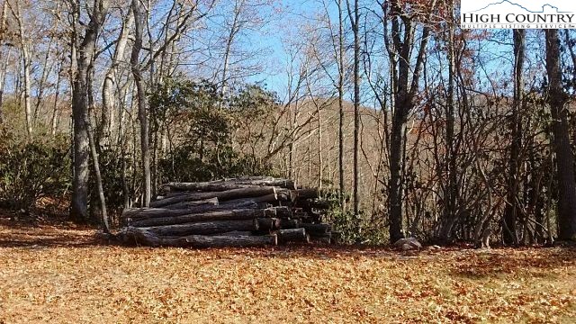 Lot 3 Hidden Forest Trail Property Photo 17