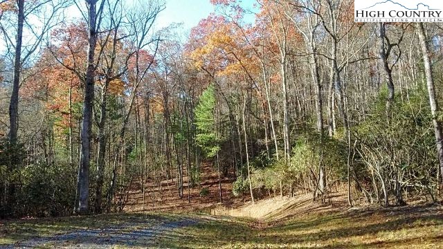 Lot 3 Hidden Forest Trail Property Photo 18