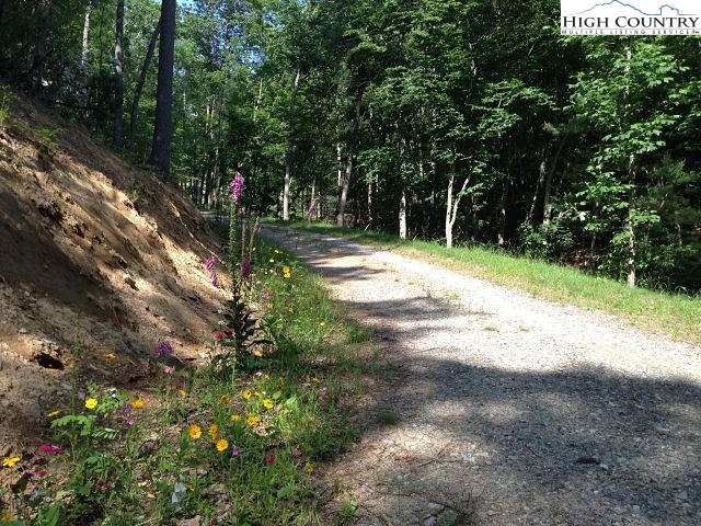 Lot 3 Hidden Forest Trail Property Photo 19