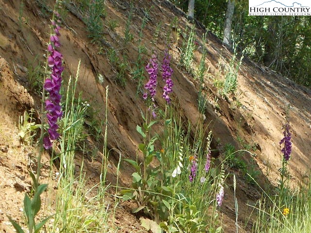 Lot 3 Hidden Forest Trail Property Photo 20