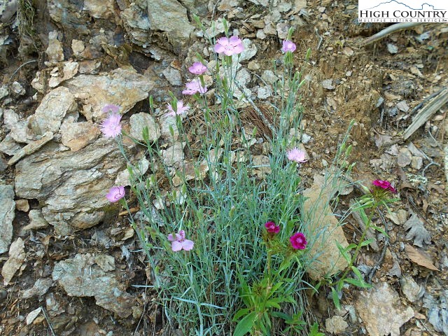 Lot 3 Hidden Forest Trail Property Photo 21