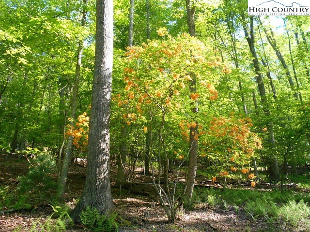 Lot 3 Hidden Forest Trail Property Photo 23