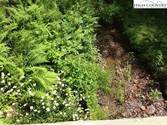 Lot 3 Hidden Forest Trail Property Photo 24