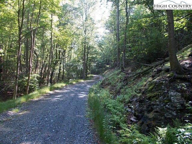 Lot 3 Hidden Forest Trail Property Photo 25