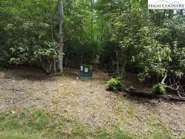 Lot 3 Hidden Forest Trail Property Photo 27