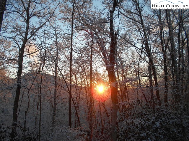 Lot 3 Hidden Forest Trail Property Photo 33