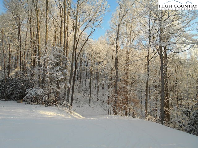 Lot 3 Hidden Forest Trail Property Photo 34