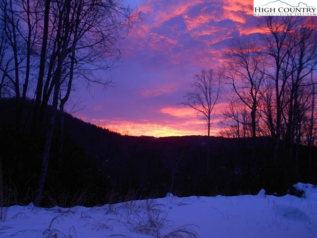 Lot 3 Hidden Forest Trail Property Photo 35