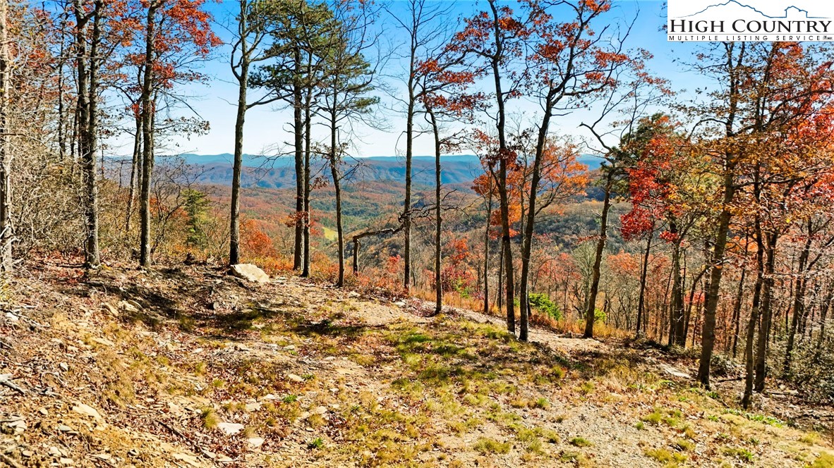 Lot 23 Bluebell Trail Property Photo 1