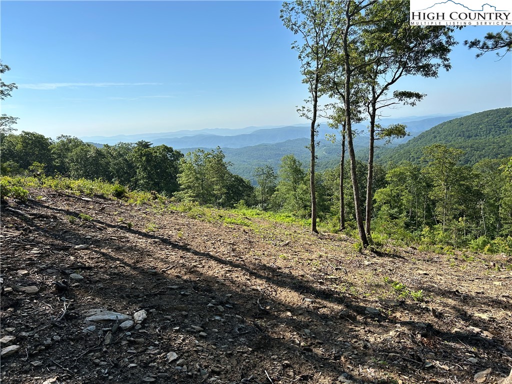 Lot 23 Bluebell Trail Property Photo 3
