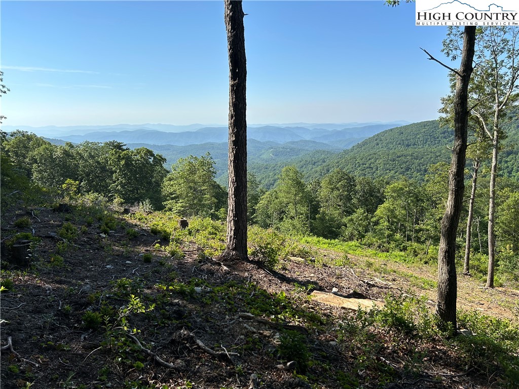 Lot 23 Bluebell Trail Property Photo 4
