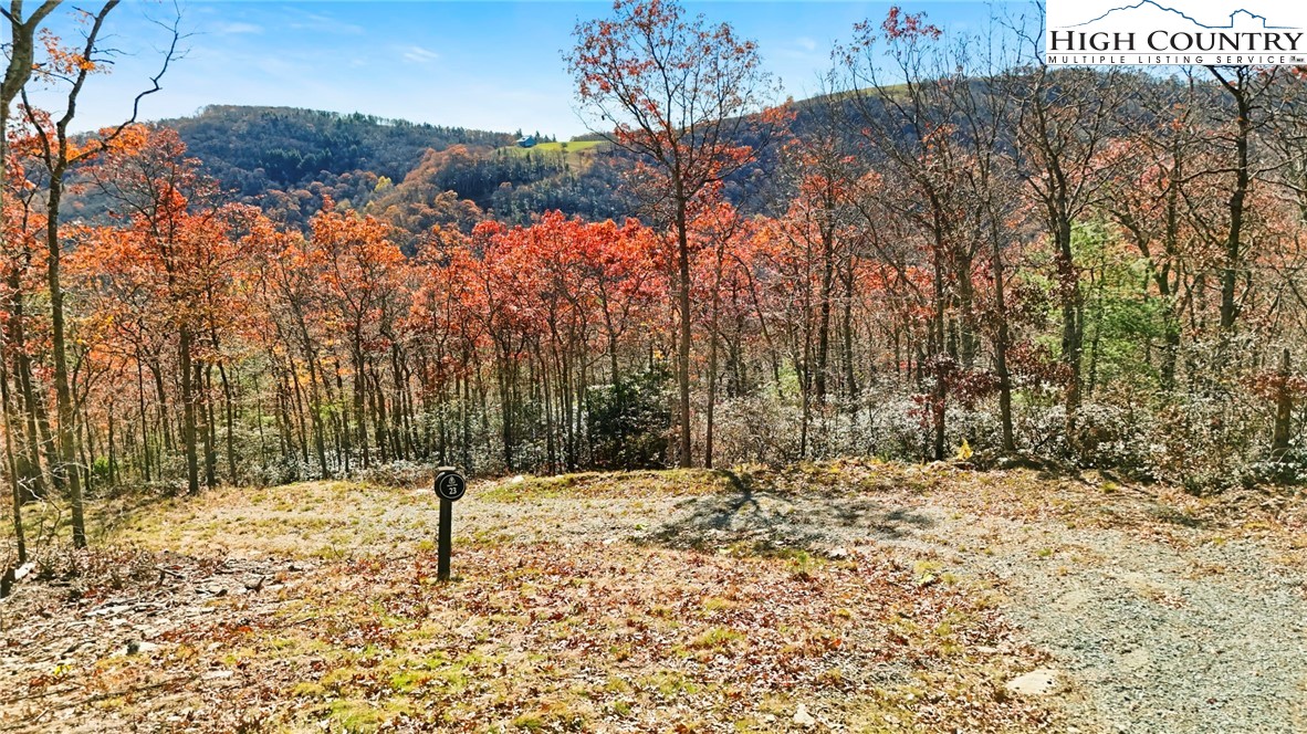 Lot 23 Bluebell Trail Property Photo 6
