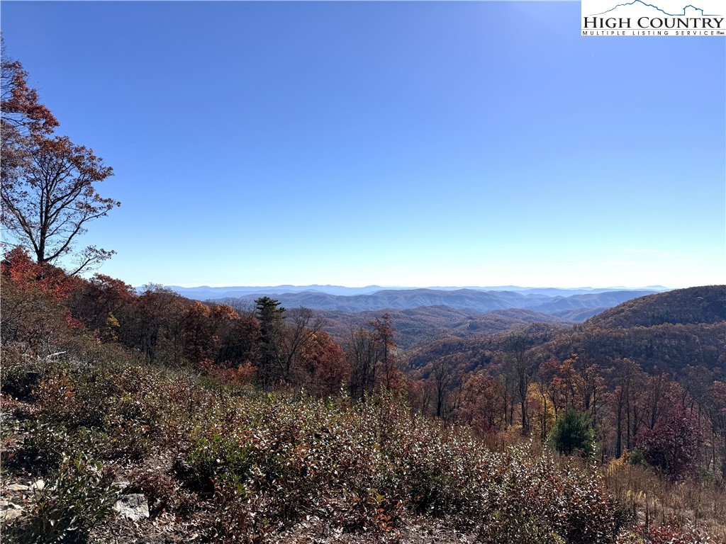 Lot 23 Bluebell Trail Property Photo 7
