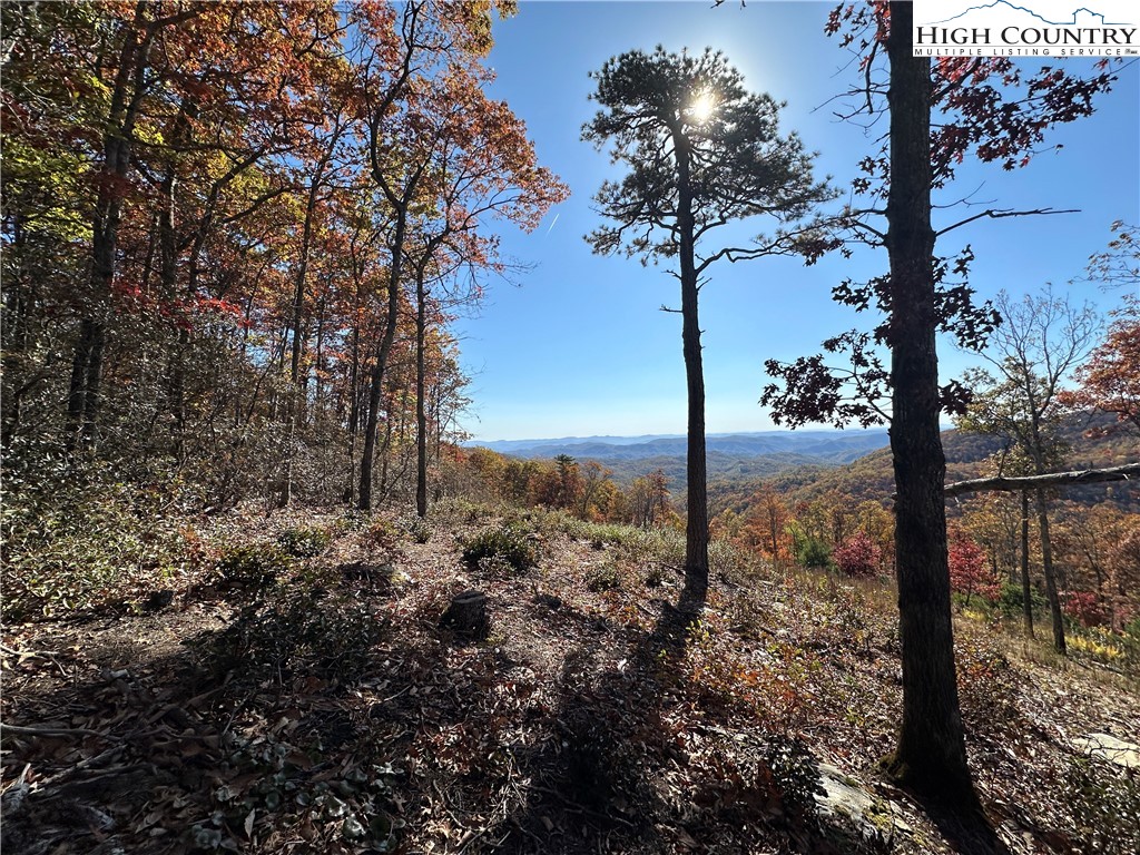 Lot 23 Bluebell Trail Property Photo 28