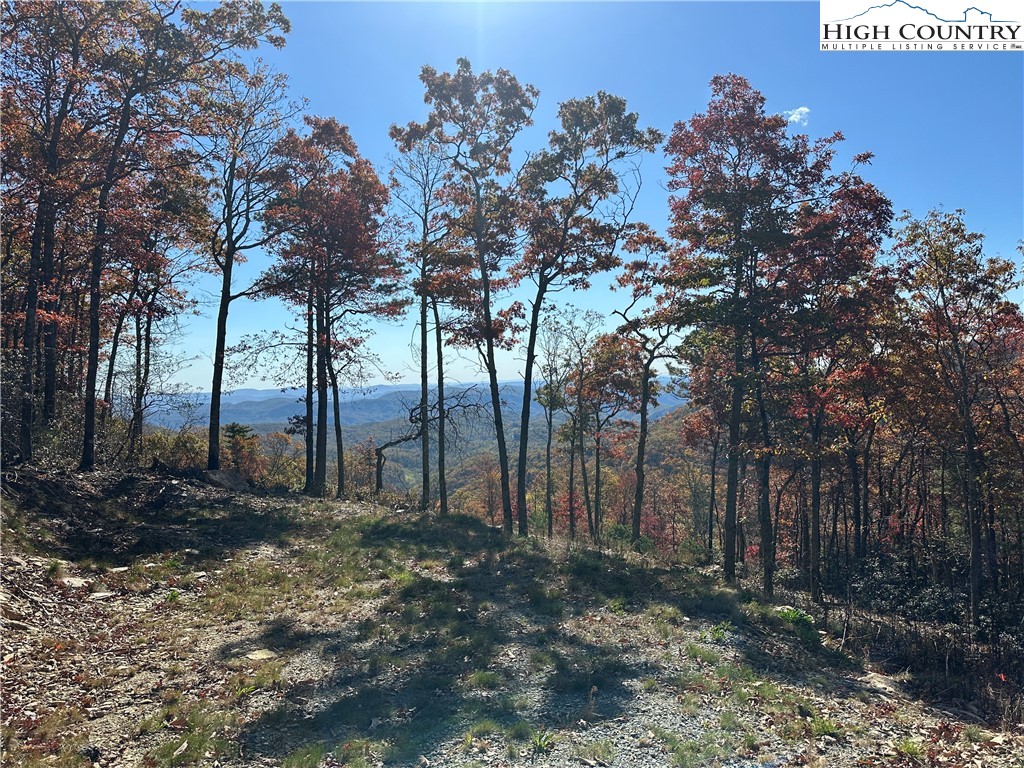 Lot 23 Bluebell Trail Property Photo 29