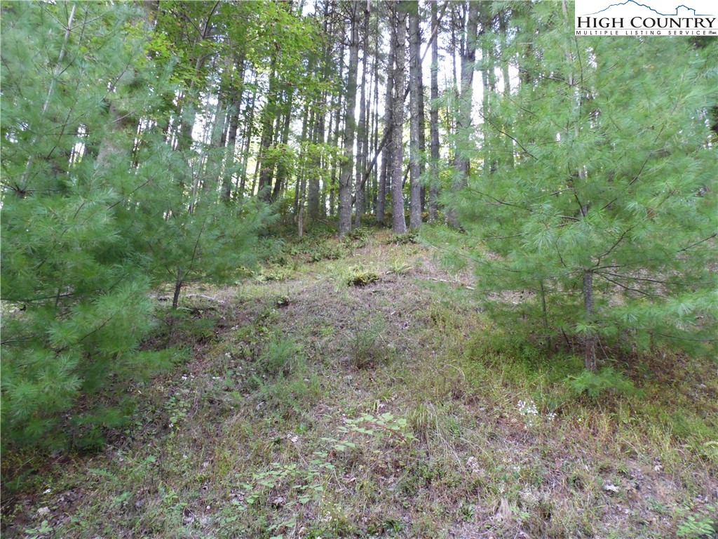 Tbd Woodlands Drive Property Photo 1