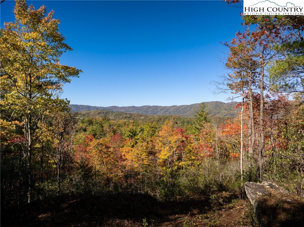 255 Red Cedar Road Property Photo 1