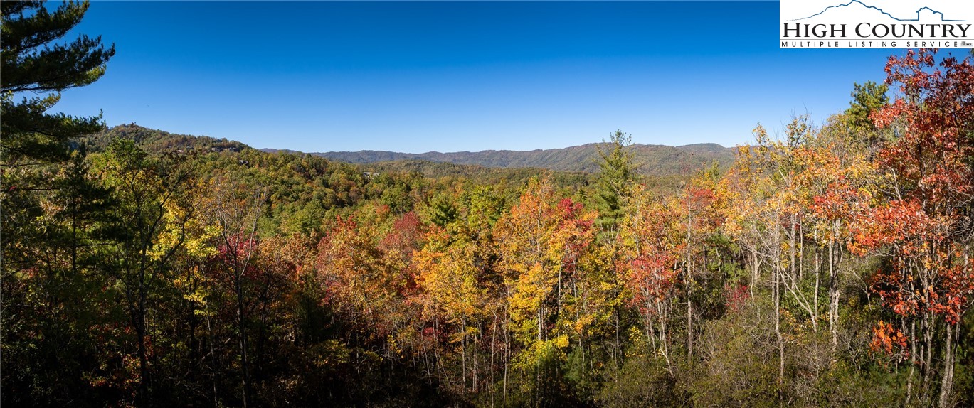 255 Red Cedar Road Property Photo 2