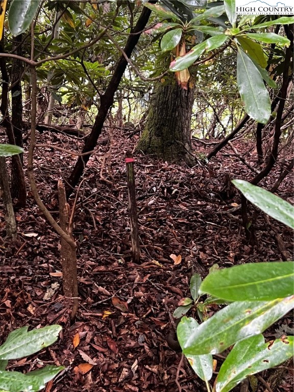 Tbd Grandview Drive Property Photo 1