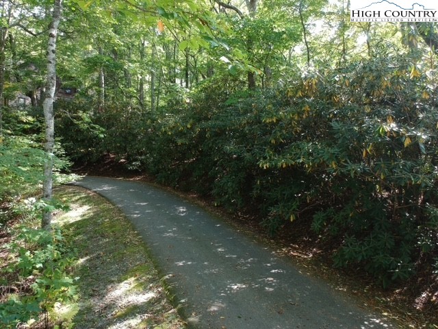 Tbd Grandview Drive Property Photo 2