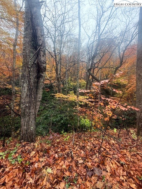 Tbd Old Hwy 16 Property Photo 2