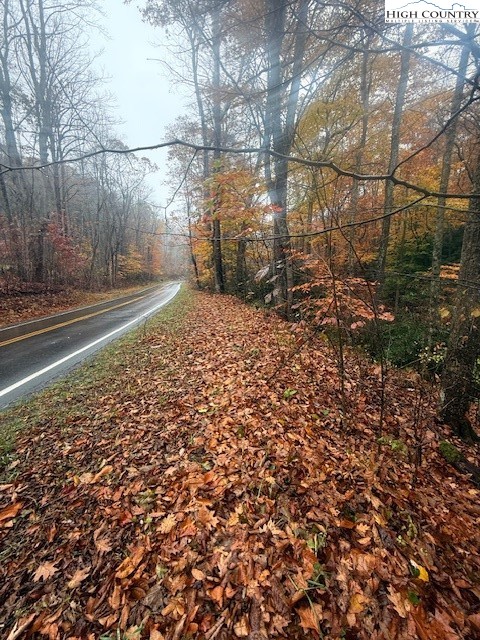 Tbd Old Hwy 16 Property Photo 4