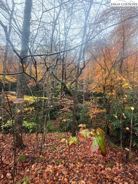 Tbd Old Hwy 16 Property Photo 5