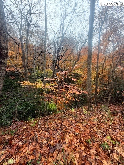 Tbd Old Hwy 16 Property Photo 8