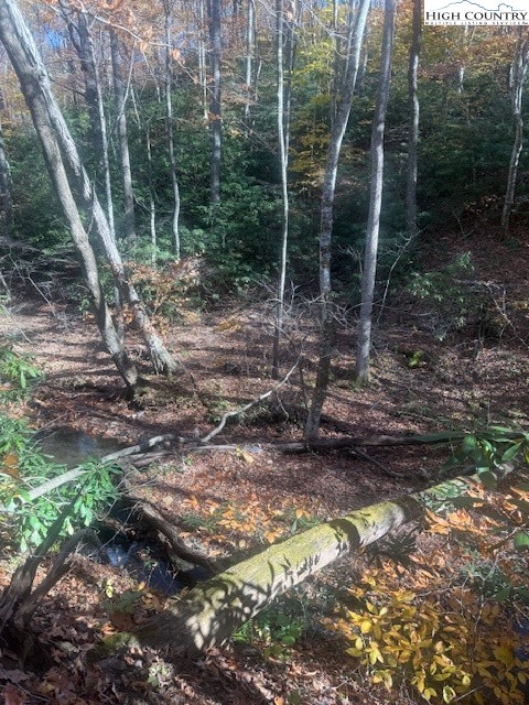 Tbd Old Hwy 16 Property Photo 10