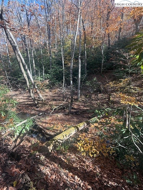 Tbd Old Hwy 16 Property Photo 11