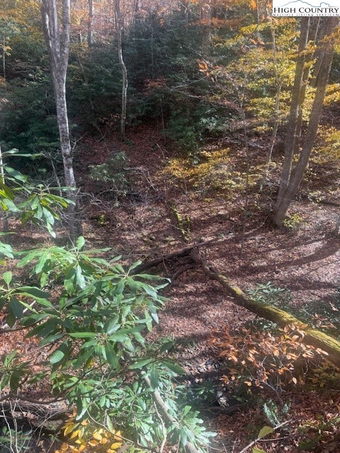 Tbd Old Hwy 16 Property Photo 12