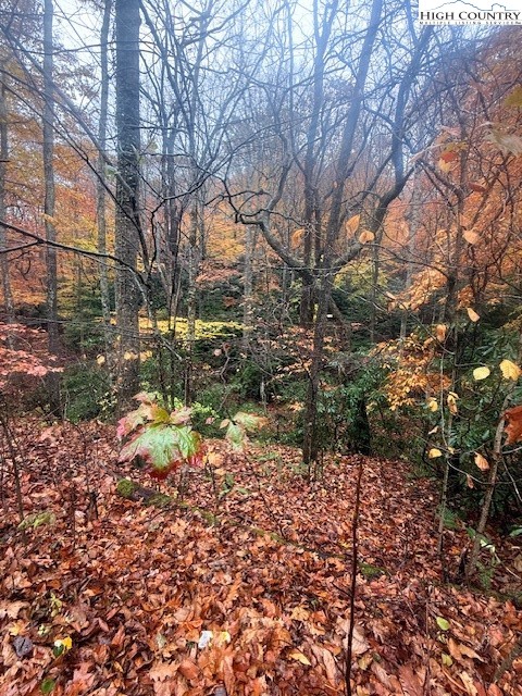 Tbd Old Hwy 16 Property Photo 14