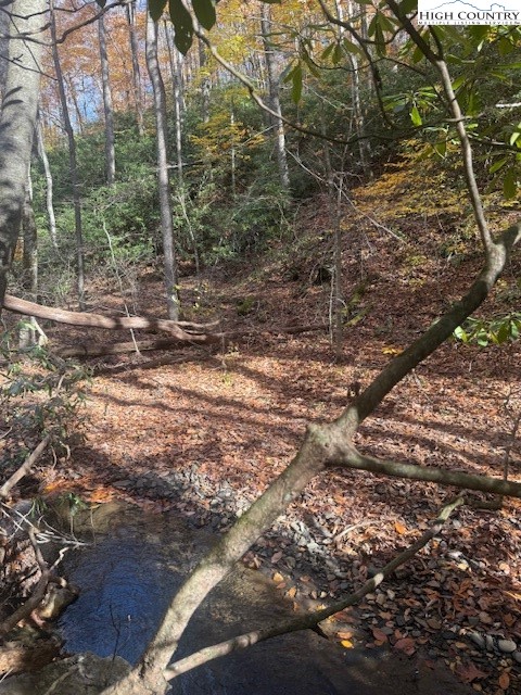 Tbd Old Hwy 16 Property Photo 17