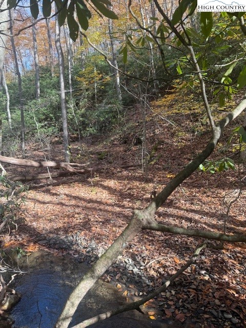 Tbd Old Hwy 16 Property Photo 18