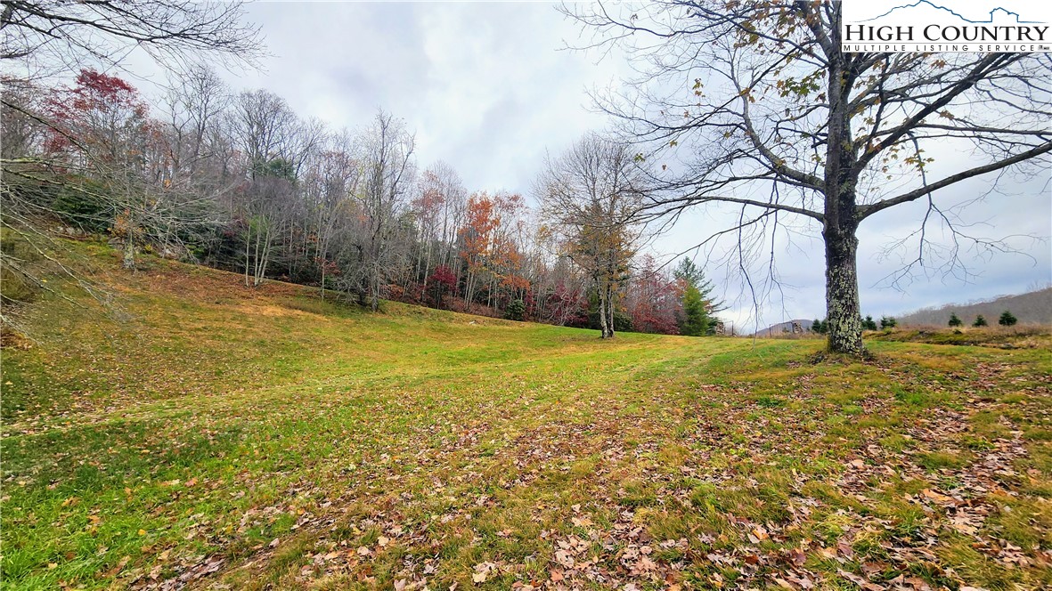 Tbd Tower Road Property Photo 3