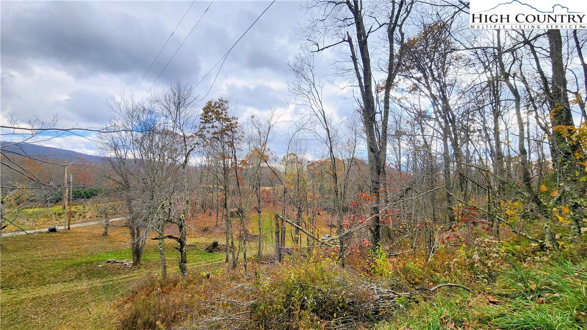 Tbd Tower Road Property Photo 7